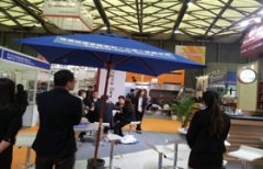 正在浩繁国表里B2B、B2C电子商务平台发布CBST201